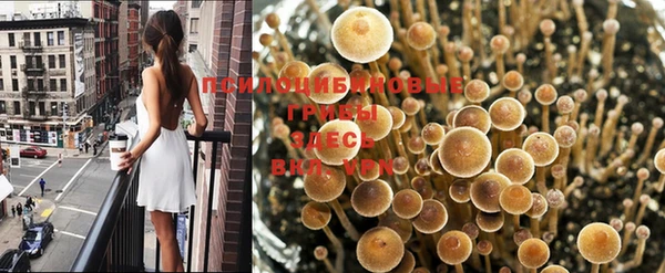 MDMA Premium VHQ Бронницы
