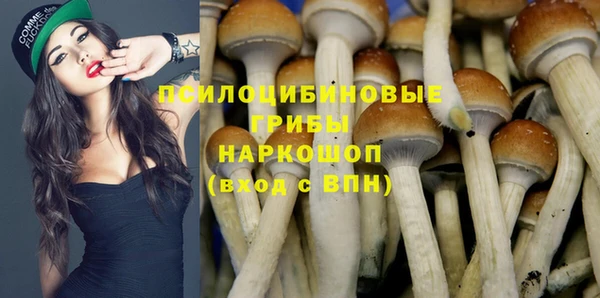 соль курить ск Бородино